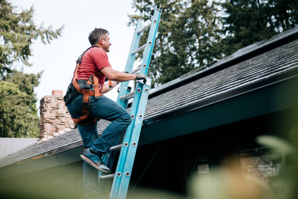 Best Skylight Installation and Repair  in Girard, IL